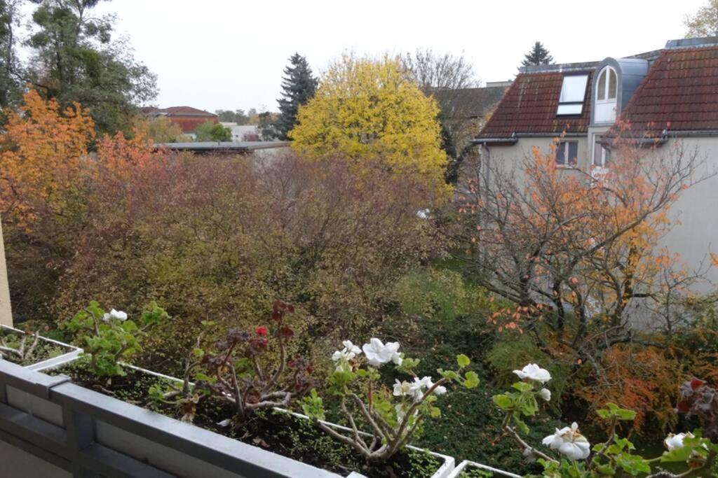 Schoene, Ruhige Wohnung In Berlin-Steglitz Εξωτερικό φωτογραφία